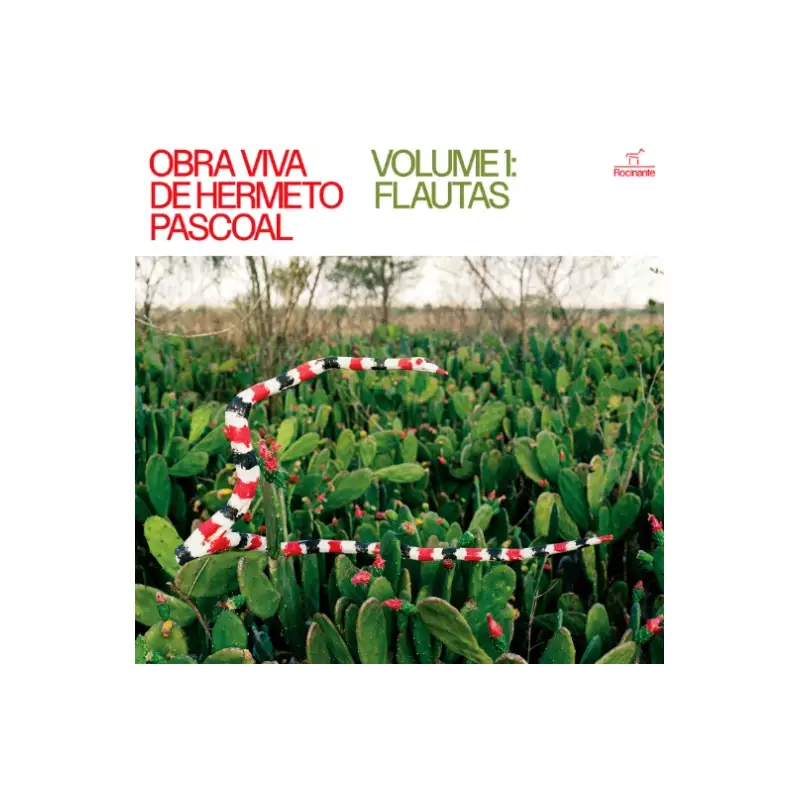 Obra Viva de Hermeto Pascoal: Vol. 1 Flautas revive gênio musical