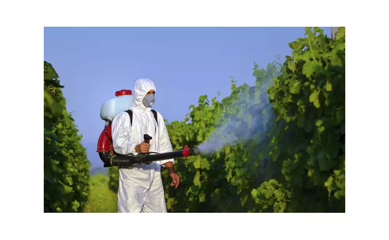 OMS classifica herbicidas atrazina e alachlor como cancerígenos