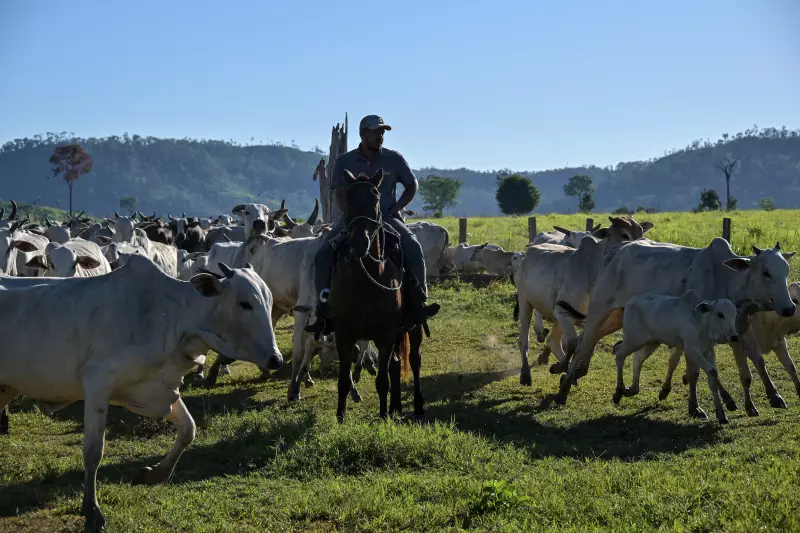 Parlamento Europeu aprova salvaguardas rígidas para importações do Mercosul