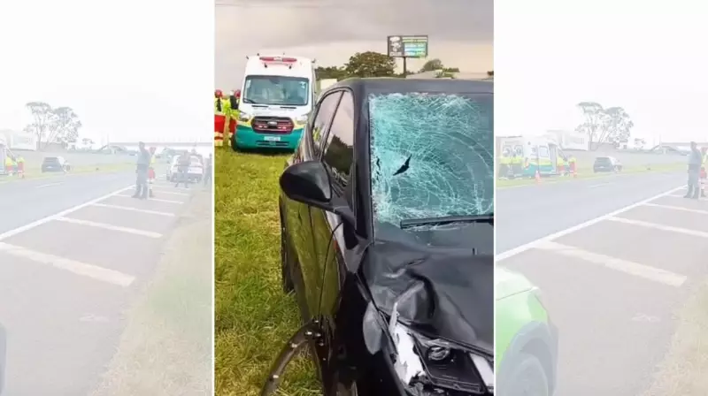 Pedestre morre atropelado na SP-310 em Ibaté ao tentar atravessar rodovia