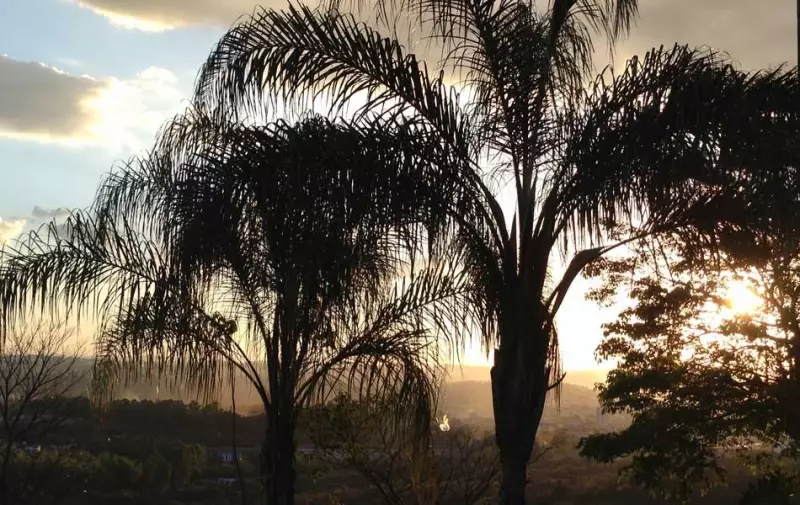 Pesquisa revela: 18% dos moradores de Divinópolis desejam mais áreas verdes para a cidade