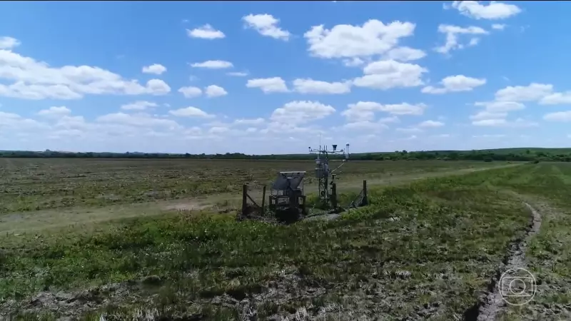 Pesquisadores do RS reduzem emissão de gases estufa em 50% na agropecuária