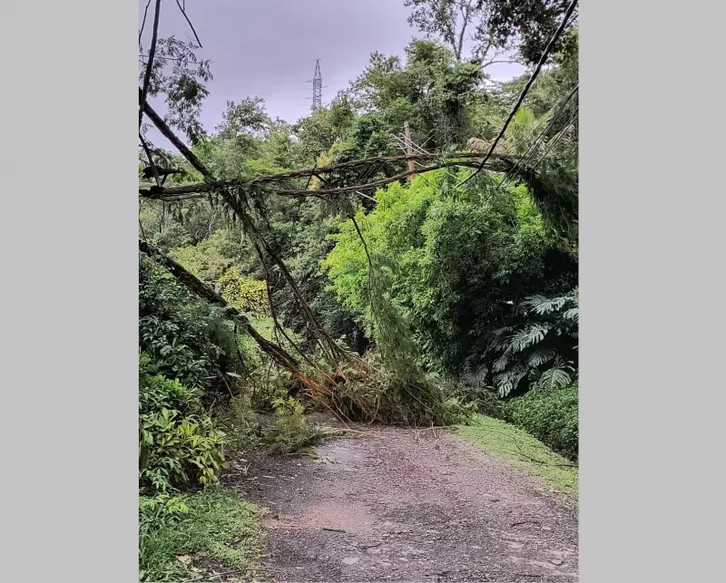 Petrópolis: 1523 clientes sem energia após ventos e chuvas, Enel desobedece Justiça