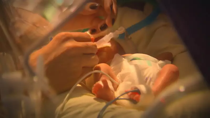 Piauí registra mais de 4.300 bebês prematuros em 2025; método canguru é aliado