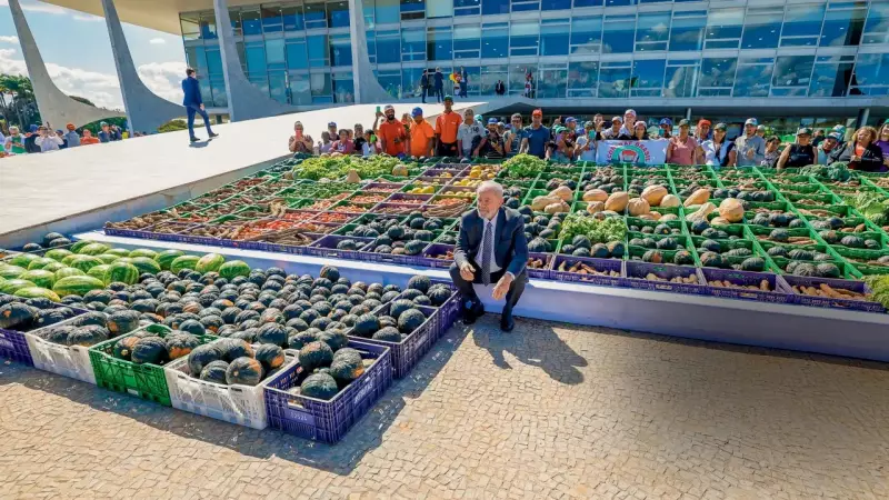 PIB cresce apenas 0,1% no 3º trimestre de 2025, sinalizando desaceleração