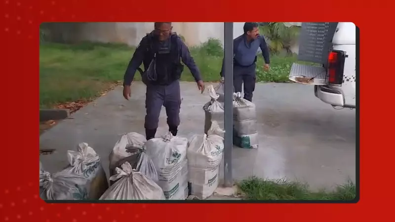 Polícia apreende quase 2 toneladas de drogas em micro-ônibus abandonado no AM