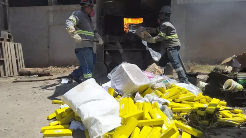 Polícia Civil incinera 1 tonelada de drogas apreendidas em Maceió