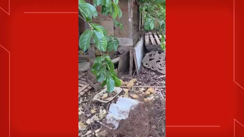 Polícia Civil prende dois suspeitos de matar idoso de 71 anos no DF