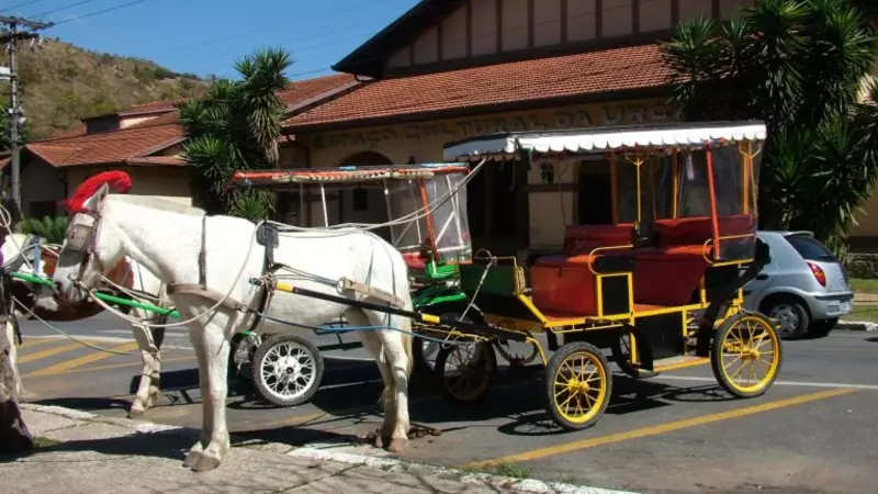 Poços de Caldas substitui charretes por carruagens elétricas em nova lei