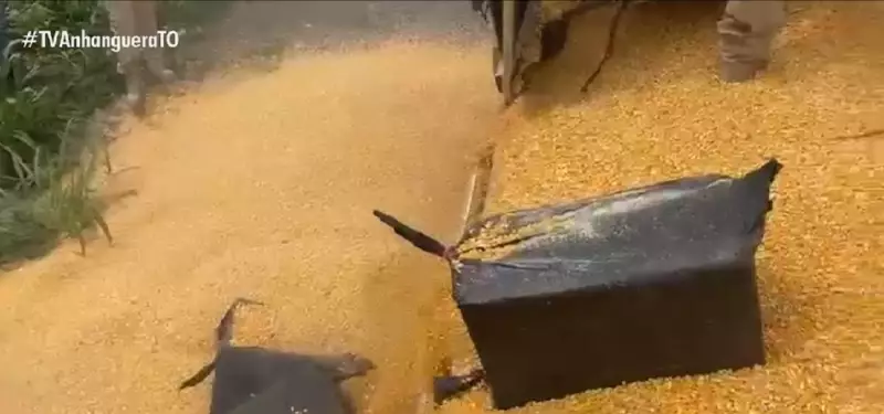 PRF apreende 480 kg de cocaína em caminhão de milho na BR-153