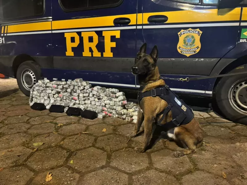 PRF apreende 70kg de drogas em carro na Serra das Araras, RJ