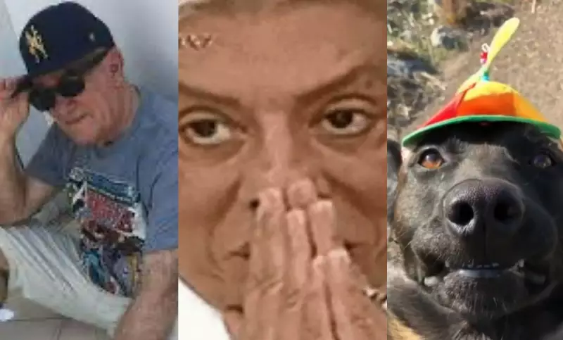 Spotify Wrapped 2025: 'Idade musical' vira meme e surpreende usuários