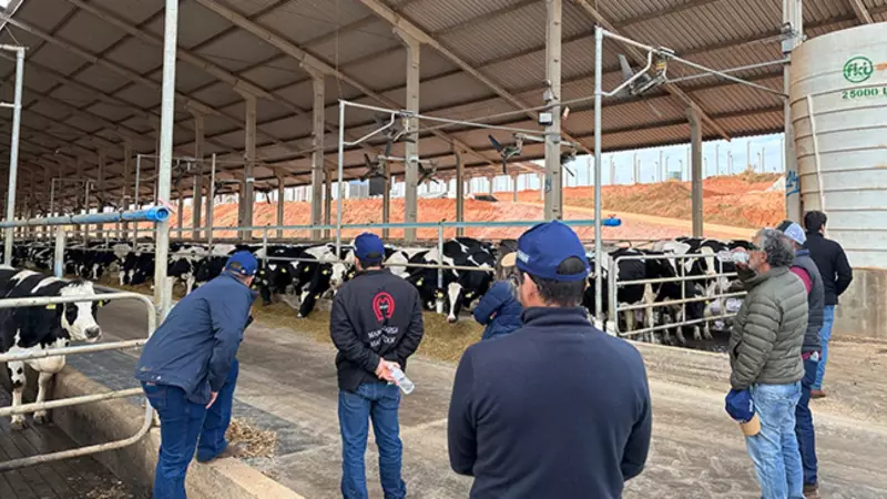 Sul de Minas bate recorde na produção de leite com tecnologia e genética