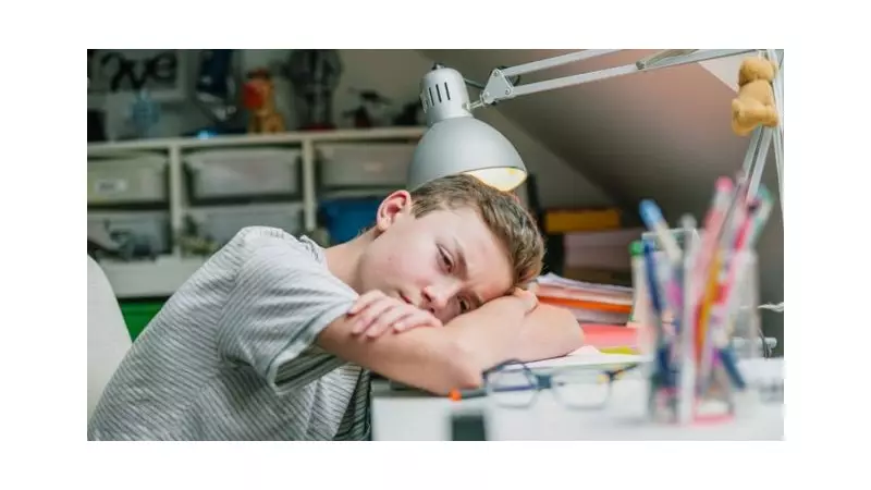 TJ-SP mantém lei que garante atendimento a jovens com depressão em Socorro