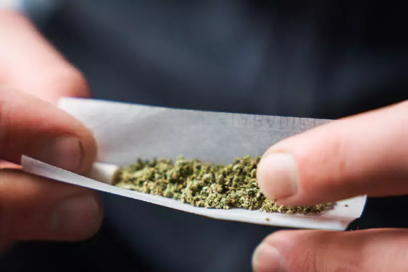 Trump avalia reclassificar maconha para droga de menor risco nos EUA