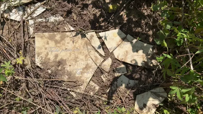 Um ano após tragédia com 39 mortes na BR-116, destroços e negligência permanecem