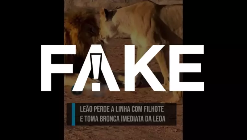 Vídeo viral de leoa agredindo leão é FAKE e foi criado com IA