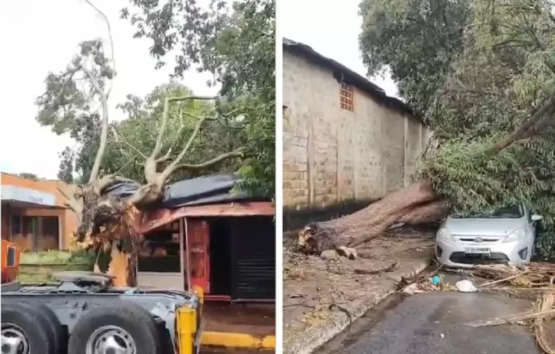 Ventos de 55 km/h e chuva forte causam estragos em Ilha Solteira
