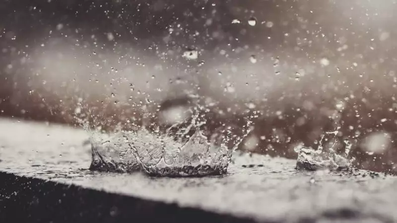 Verão 2025 em SP: La Niña traz chuva e alívio no calor após seca crítica