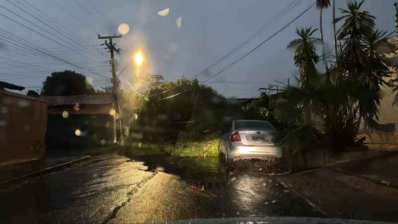 Verão no Piauí: previsão indica chuvas abaixo da média em 2024