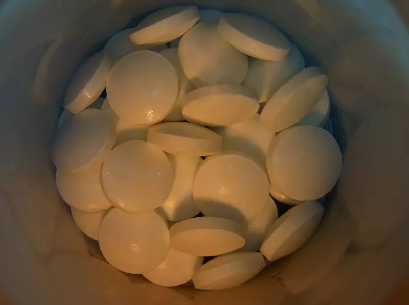 Wegovy em comprimido é aprovado nos EUA: pílula diária promete revolucionar tratamento da obesidade