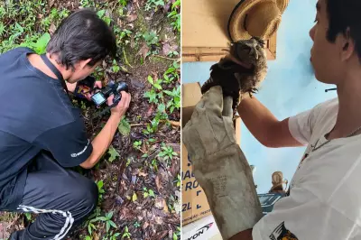 Aos 19 anos, jovem de Barra do Chapéu vira colunista de revista internacional