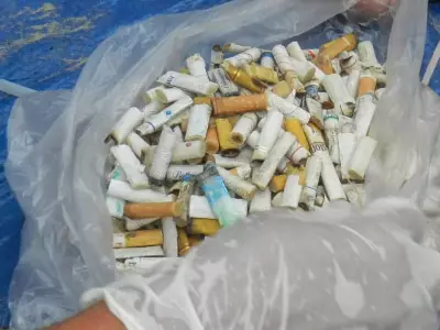 Bitucas de cigarro lideram microlixo na Praia do Gonzaga, em Santos