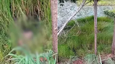 Cabeça humana é achada em córrego rural de Cidelândia, MA