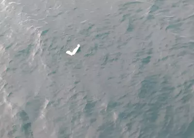 Cenipa aponta pane seca como causa de queda de avião em Ubatuba em 2021