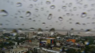 Chuva forte atinge Rio Grande do Sul e derruba árvores em Uruguaiana e Porto Alegre