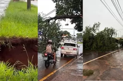 Chuva intensa abre cratera e derruba árvore em Campo Grande