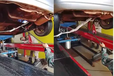 Cobra é resgatada de dentro de carro em Dourados após operação dos bombeiros