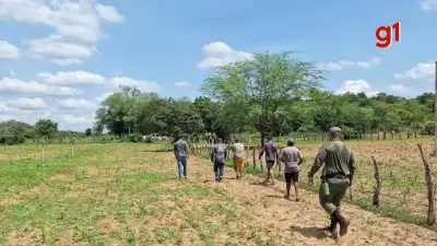 Homem de 41 anos é resgatado após 30 horas desaparecido em mata no Piauí