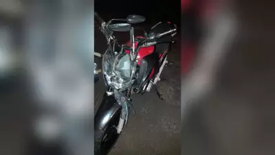 Jovem de 18 anos atropela cavalo solto em Birigui e animal morre