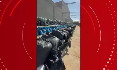 Mais de 4,5 toneladas de maconha skunk apreendidas em Xique-Xique, BA