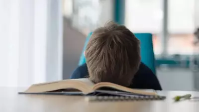 Matemática: 50% genética? Estudo com gêmeos revela por que uns têm mais facilidade