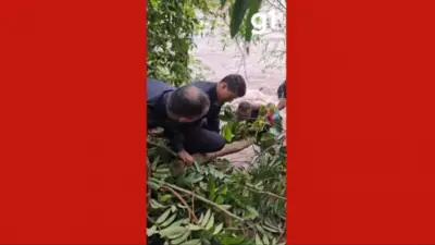 Menino de 11 anos é resgatado de correnteza após se agarrar a galho em MT