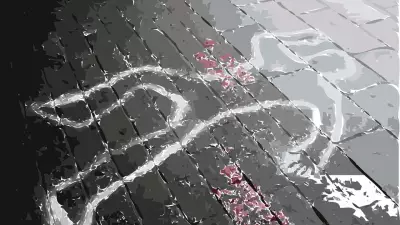 Mulher morre esfaqueada durante assalto em ônibus do BRT no Rio