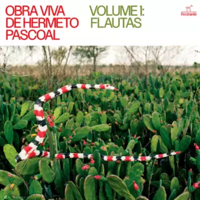 Obra Viva de Hermeto Pascoal: Vol. 1 Flautas revive gênio musical