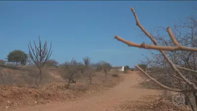 Pernambuco decreta emergência em 107 cidades por seca extrema no Sertão
