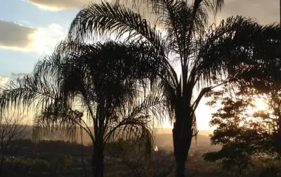 Pesquisa revela: 18% dos moradores de Divinópolis desejam mais áreas verdes para a cidade