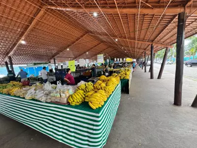 Varejão de Festas em Piracicaba estima alta de 5% nas vendas em 2026