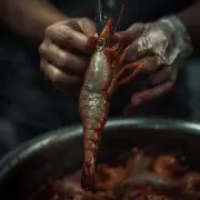 Camarões sentem dor: Biólogos lançam declaração de senciência para 440 bilhões de animais