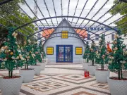 Chuva adia inauguração da decoração de Natal de R$ 4,5 mi em Rio Branco