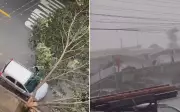 Chuva forte de 40mm e ventos de 50 km/h causam estragos em Goiânia