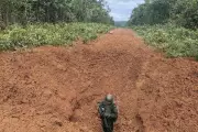Forças Armadas destroem 2 pistas clandestinas de garimpo na Terra Yanomami