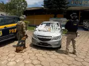 Homem com tornozeleira eletrônica é preso com drogas na Via Dutra, em Piraí