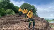 Incêndio cruza fronteira: brigadistas do Brasil e Bolívia combatem fogo no Pantanal