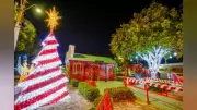 Mais de 10 mil visitas na Casinha do Papai Noel em Santarém