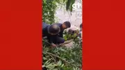 Menino de 11 anos é resgatado de correnteza após se agarrar a galho em MT